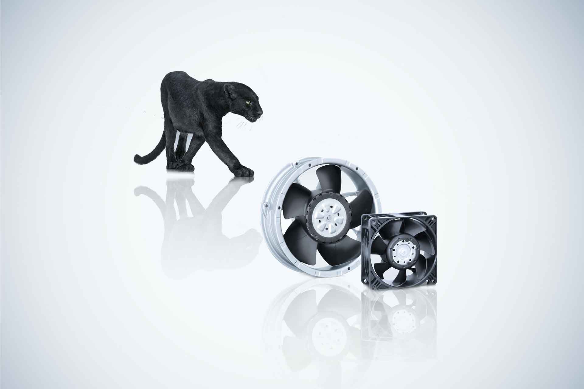 gas blowers