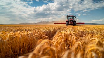 Tractor harvesting wheat