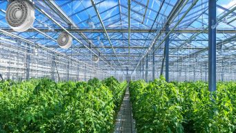 Greenhouse Fotolia